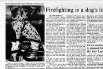 Connecticut Daily Campus article about the UConn Firedog Freckles Thumbnail